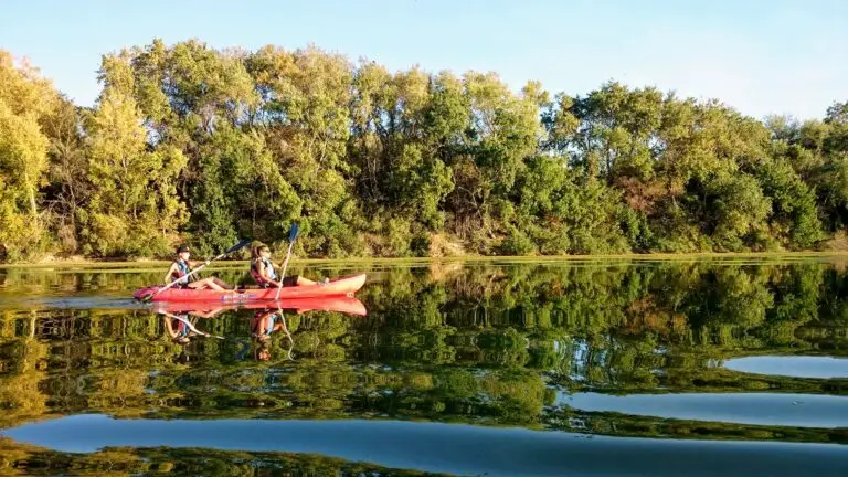 Sotos y Galachos reflejos